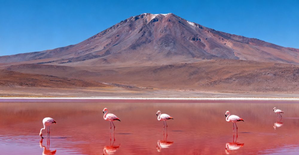 Bolivia: A Land of Extreme Contrasts and Unparalleled Wonders