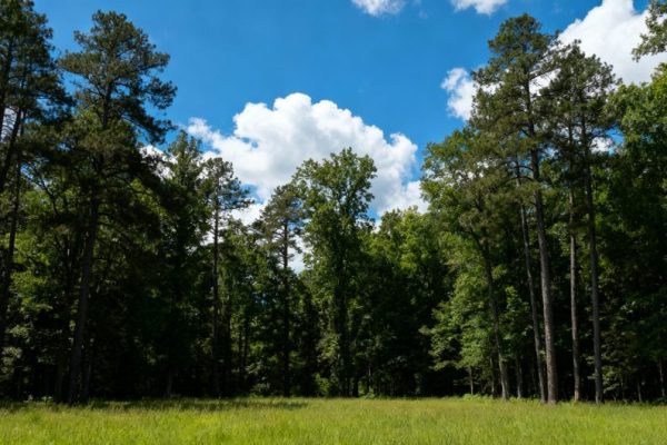 Unraveling Canada’s Cultural Tapestry: Point Pelee National Park and the Canadian Museum of History