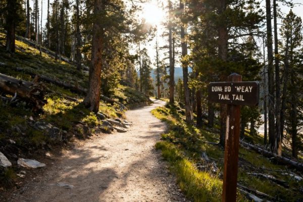 Why Travel Insurance Is a Must-Have for Your American Journey