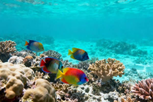 Magnificent Coastal Lines and Islands: Premier Nature & Outdoors Destinations in the US