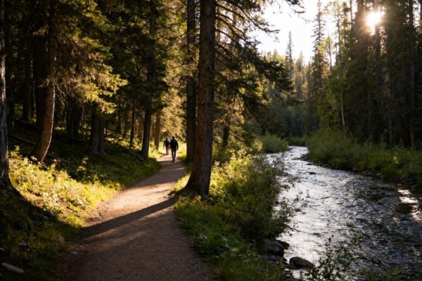 Top 10 Tourist Attractions in Calgary, Alberta, Canada: A Comprehensive Guide