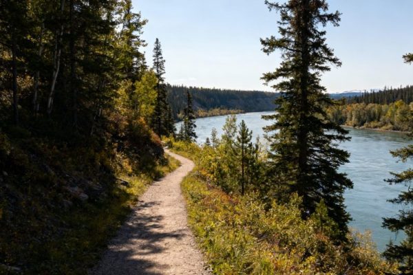 7-Day Edmonton, Alberta, Canada Itinerary: A Complete Guide for International Travelers