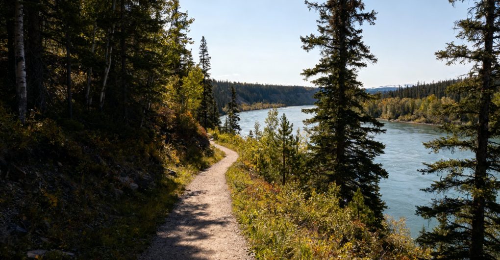 7-Day Edmonton, Alberta, Canada Itinerary: A Complete Guide for International Travelers