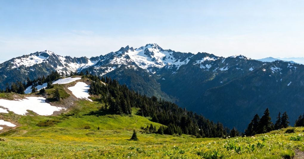 7-Day Itinerary for Olympic National Park, Washington: Explore Mountains, Rainforests, and Coastlines