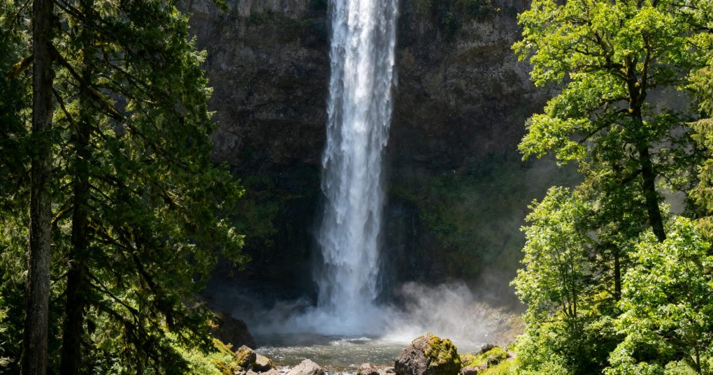 Ultimate Budget Travel Guide to Portland, Oregon: West Coast USA (Under 0 for 5 Days)