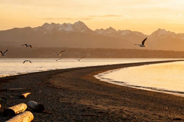 7-Day Richmond, British Columbia Itinerary: A Comprehensive Guide for International Travelers