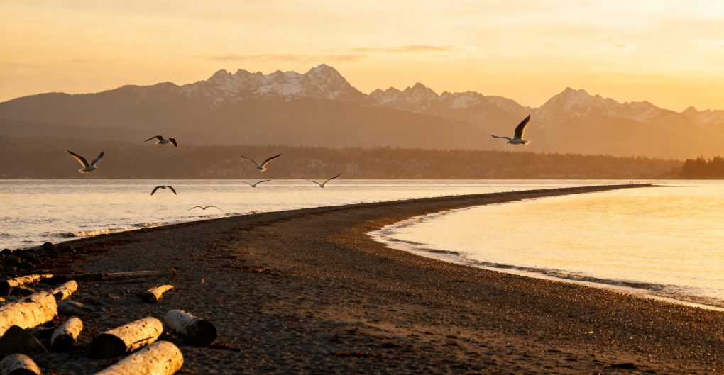 7-Day Richmond, British Columbia Itinerary: A Comprehensive Guide for International Travelers