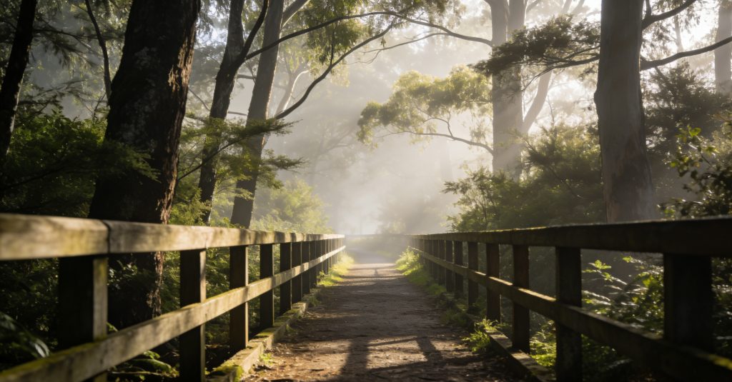 Hamilton Travel Safety & Health Guide: Essential Tips for Visitors from the Americas and Beyond