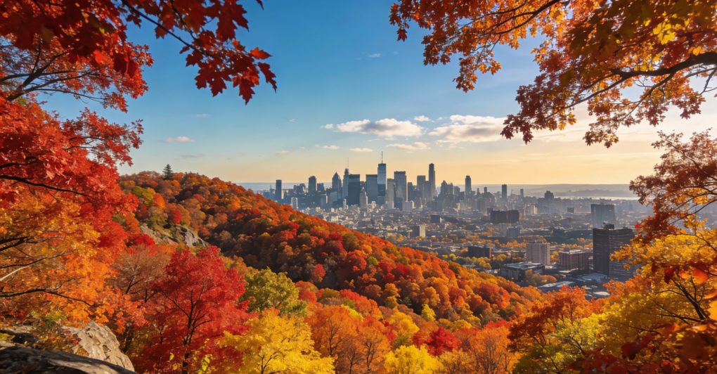 Montreal 7-Day Deep Dive Itinerary: Perfect for American & International Travelers