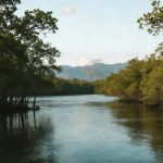 Guatemala Transportation Guide: Everything Travelers Need to Know Before You Go