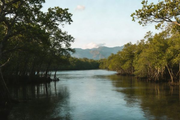 Guatemala Transportation Guide: Everything Travelers Need to Know Before You Go Guatemala Transportation Guide: Everything Travelers Need to Know Before You Go