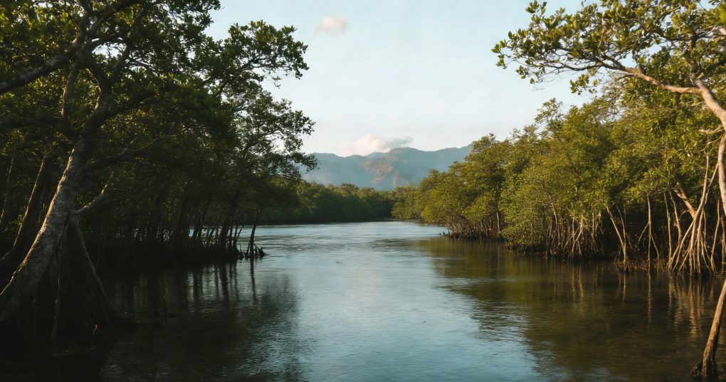 Guatemala Transportation Guide: Everything Travelers Need to Know Before You Go