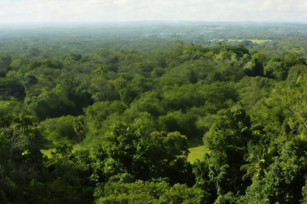 Honduras 7-Day Deep Dive: Mayan Ruins, Caribbean Shores & Rainforest Adventures Honduras 7-Day Deep Dive: Mayan Ruins, Caribbean Shores & Rainforest Adventures