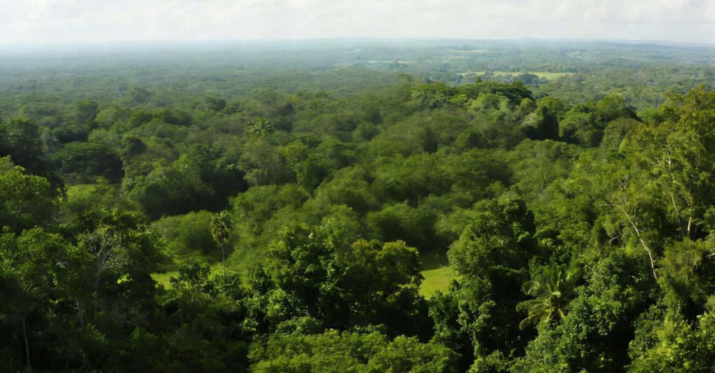 Honduras 7-Day Deep Dive: Mayan Ruins, Caribbean Shores & Rainforest Adventures