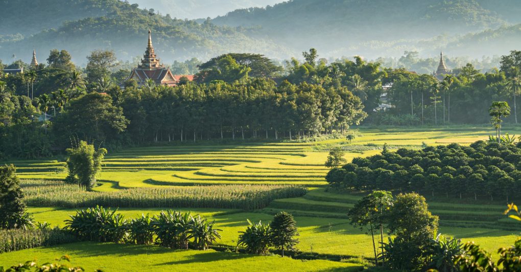 The Ultimate Guide to Getting Around Chile: Transportation Tips